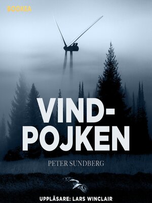 cover image of Vindpojken